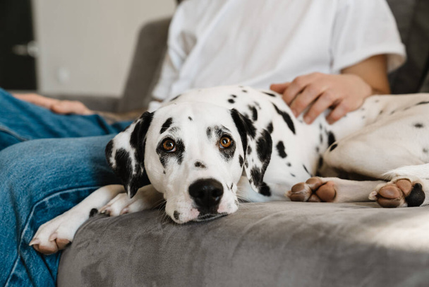 Close up of a man sitting with his dog on a couch at home - Foto, imagen