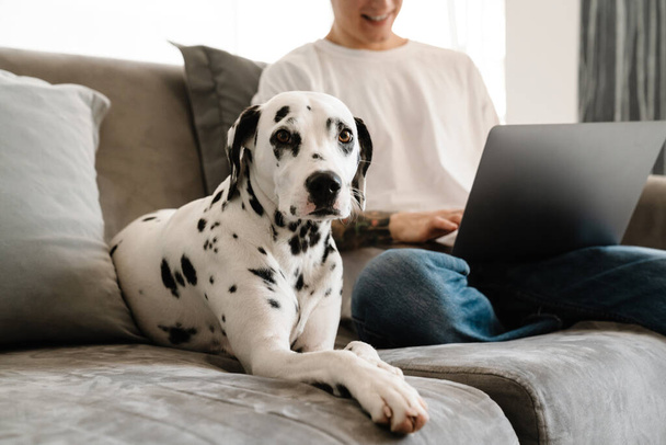 Close up of a man using laptop on his lap while sitting with his dog on a couch at home - Foto, imagen