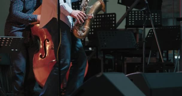 Uomini caucasici a un concerto che suonano jazz e blues su sassofono e contrabbasso - Filmati, video