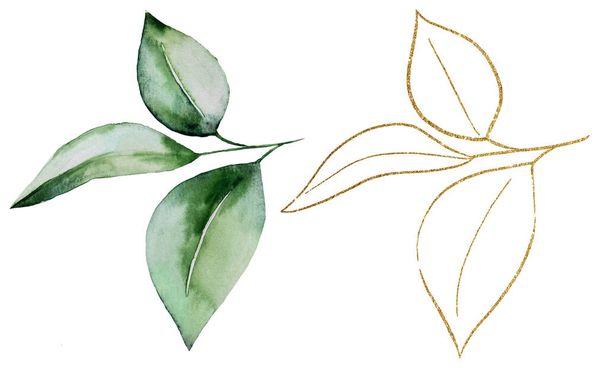 Зеленый и золотой акварели ботанические листья иллюстрации. Элегантный элемент для свадебного дизайна, поздравительных открыток и ремесел, место для текста - Фото, изображение
