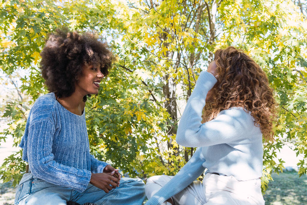 Two female afro american friends having a conversation outdoors while smiling. Afro black friends with curly hair and blue jumper smiling while talking in the park - Foto, imagen
