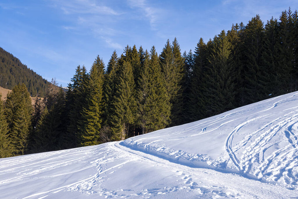 Это пейзажное фото было сделано в Европе, во Франции, Рона Альпы, в Савойе, в Альпах, зимой. Мы видим горы и леса в массиве Монблан, пересеченные туристической тропой, под солнцем. - Фото, изображение