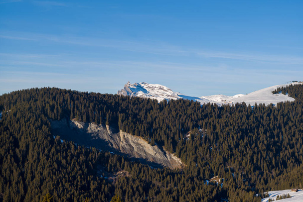 Αυτή η φωτογραφία τοπίου τραβήχτηκε στην Ευρώπη, στη Γαλλία, στο Rhone Alpes, στη Σαβοΐα, στις Άλπεις, το χειμώνα. Βλέπουμε τα βουνά και τα δάση στο βουνό Mont Blanc, κάτω από τον ήλιο. - Φωτογραφία, εικόνα