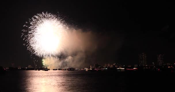 Feuerwerk in der Nähe des Flusses Edogawabashi in Tokio - Filmmaterial, Video