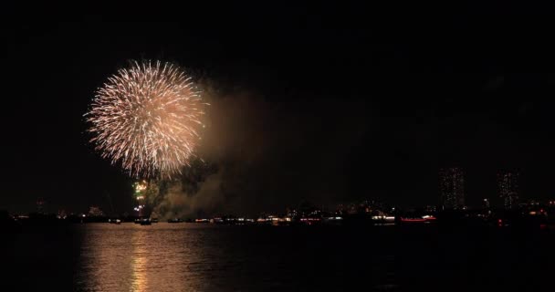 Feuerwerk in der Nähe des Flusses Edogawabashi in Tokio - Filmmaterial, Video