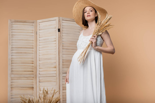 Pregnant woman in sun hat holding spikelets and looking at camera near folding screen isolated on beige  - Foto, Imagen