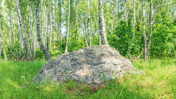 Una gran roca sagrada antigua, Sledovik, cubierta con líquenes en un bosque de abedules en la región de Orel, Rusia - Foto, imagen