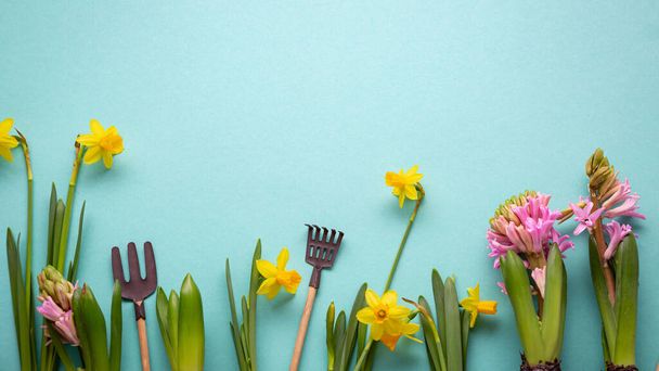 Spring background with garden tools yellow flowers - Zdjęcie, obraz