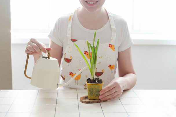 lovely housewife woman in apron with flower in pot. Gardening, holidays, Spring and Easter concept. - 写真・画像