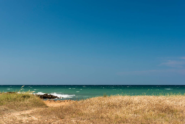 mooie zee en kust bij Monopoli - Foto, afbeelding