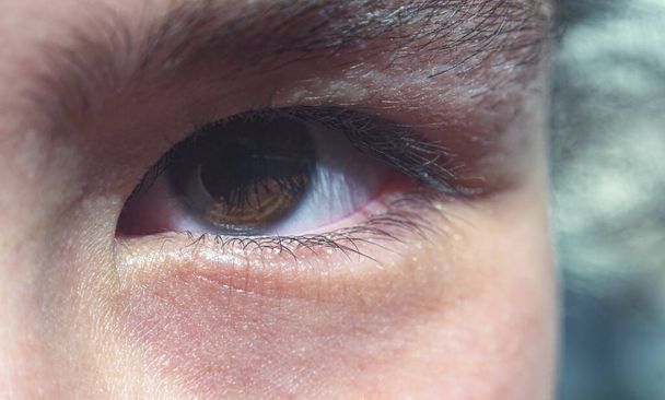                        the eyes of the girls, the macro image of the eyes of the girl - 写真・画像