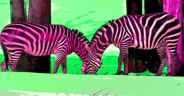 Cebras signo ilustración pop-art icono de fondo con manchas de color - Foto, Imagen