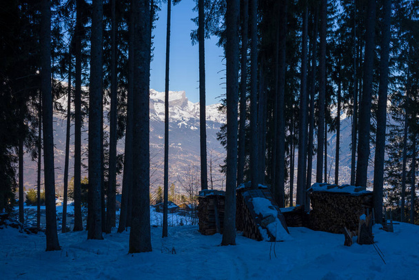 Αυτή η φωτογραφία τοπίου τραβήχτηκε στην Ευρώπη, στη Γαλλία, στο Rhone Alpes, στη Σαβοΐα, στις Άλπεις, το χειμώνα. Βλέπουμε ένα δάσος μπροστά από το βουνό Mont Blanc, κάτω από τον ήλιο. - Φωτογραφία, εικόνα