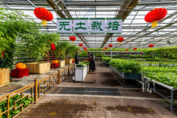 The scene of the plant exhibition area of the 12th China Jilin Changchun Winter Agricultural Expo - Photo, Image