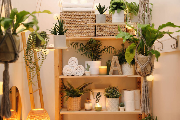 Wooden shelving unit with green plants and different accessories indoors. Interior design - Foto, imagen