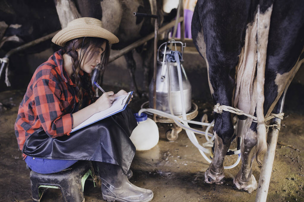 Agricultor asiático Trabaja en una granja lechera rural fuera de la ciudad, Jóvenes con vaca - Foto, Imagen