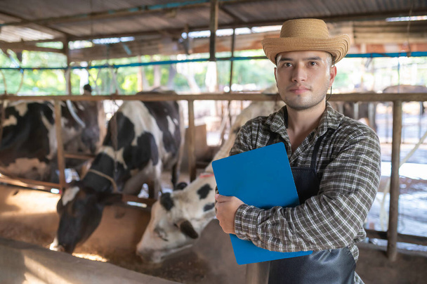 Asian farmer Work in a rural dairy farm outside the city,Young people with cow - 写真・画像