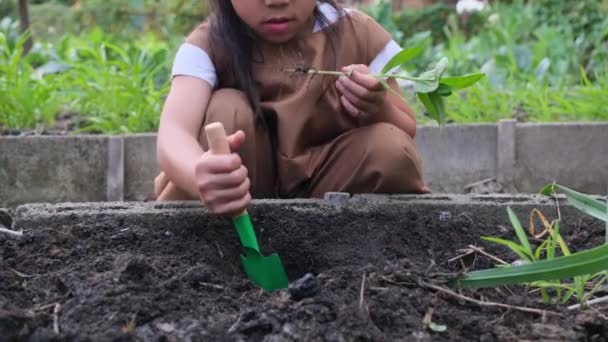 schattig klein meisje planten jong boom in achtertuin groente tuin. - Video