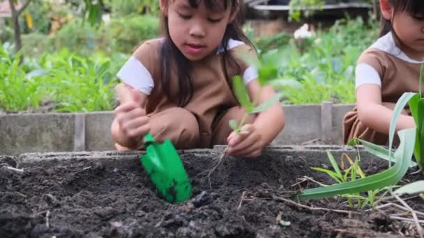裏庭の菜園に若い木を植えるアジアの兄弟姉妹. - 映像、動画