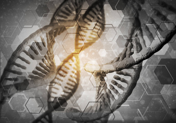 DNA molecules background - Fotografie, Obrázek