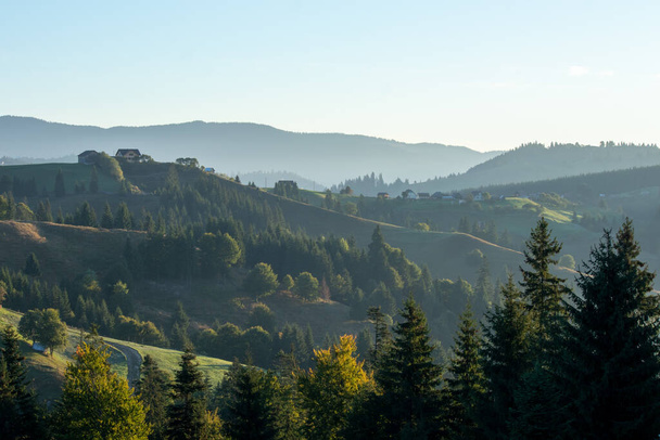Пейзаж хвойных деревьев, традиционных домов и гор в Румынии - Фото, изображение