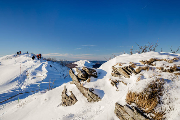 Winterlandschap met uitzicht op de bergen, Polonina Wetliska, Smerek, Nationaal Park Bieszczady, Polen. - Foto, afbeelding