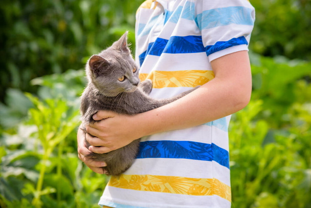 Junge umarmt eine Katze mit viel Liebe. Nahaufnahme Porträt von Kätzchen auf Händen. Spielen mit einer Katze auf dem Land. - Foto, Bild