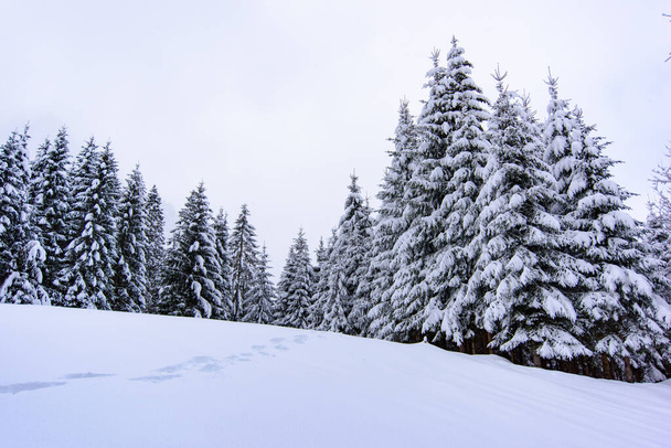 Scénická zimní příroda ve vesnici Sappada v horách, Itálie - Fotografie, Obrázek