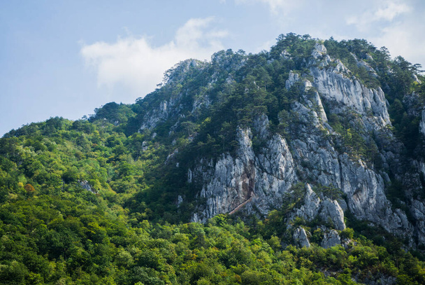 Mountain landscape seen from Baile Herculane resort, Valea Cernei National Park, the second largest in the country and the only one that includes a river basin as an ecological sea. - Фото, зображення