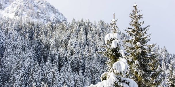 Malowniczy widok zimowy na wieś Sappada w górach, Włochy - Zdjęcie, obraz
