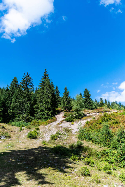 The beginning of the road to Groapa Ruginoasa, natural reservation in the Apuseni Mountains. Bihor county, Romania. - Φωτογραφία, εικόνα