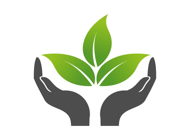 natural eco hand leaf logo - Foto, afbeelding