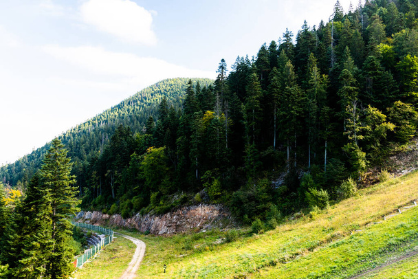 Landscape of the road to Postavarul Massif, part of the Romanian Carpathian. Poiana Brasov, Romania. - Foto, Imagen