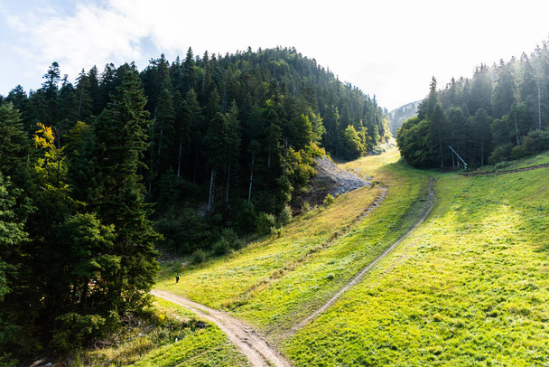 Landscape of the road to Postavarul Massif, part of the Romanian Carpathian. Poiana Brasov, Romania. - 写真・画像