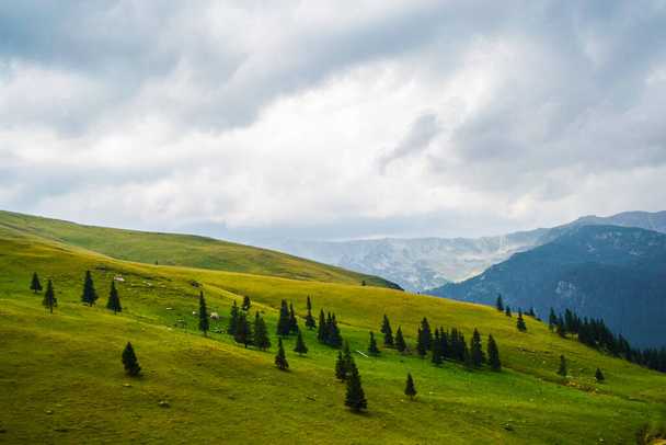 Landscape with mountains, hills and cloudy sky, Transalpina road, Romania. - Zdjęcie, obraz