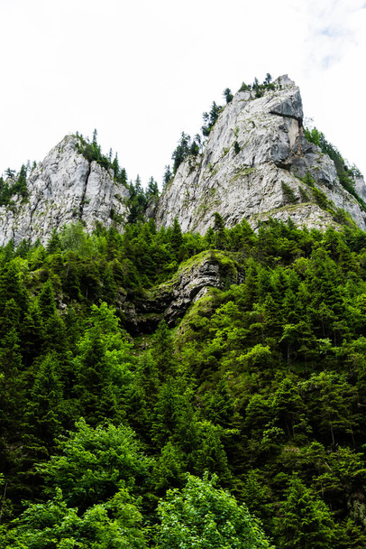 Zanoagei gorges in Carpathians mountains. Romania, Europe. - 写真・画像