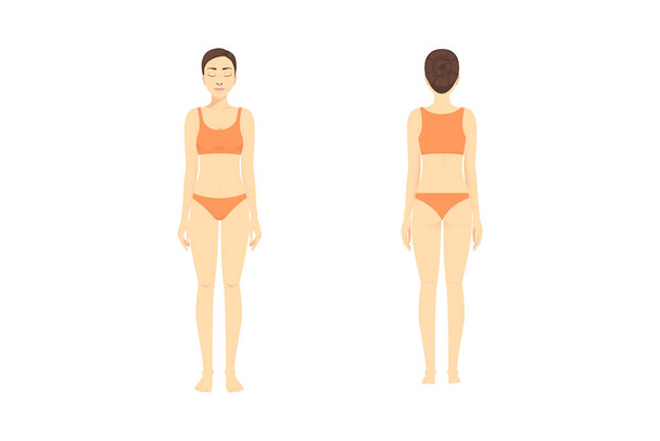 full length of woman standing in front and back wearing a bikini and bra on isolated. cartoon about the body, diet, anatomy, beauty, and medical. - Вектор,изображение