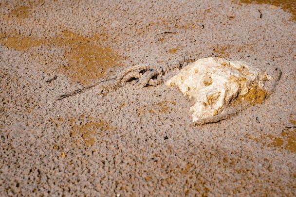 Texture abstraite de sable de couleur à la mine de kaolin - Photo, image