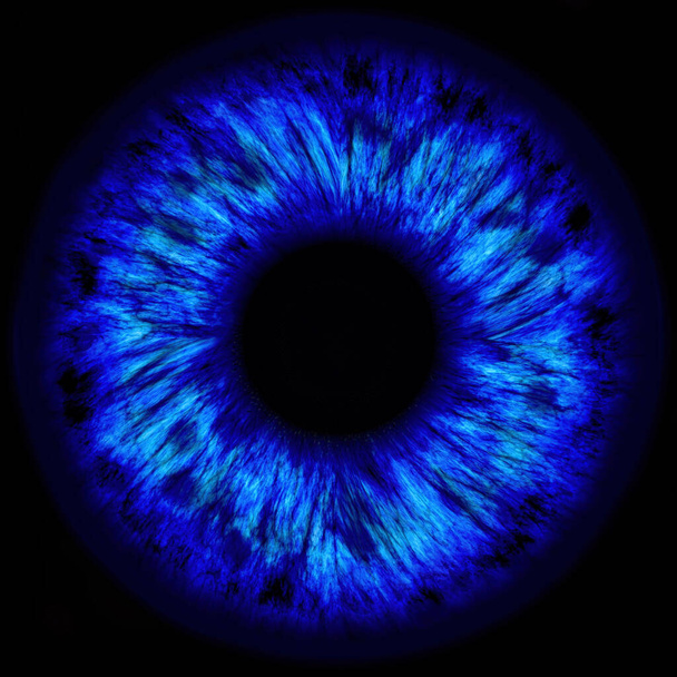 Illustratie van een blauwe menselijke iris. Digitaal kunstwerk creatief grafisch ontwerp. - Foto, afbeelding