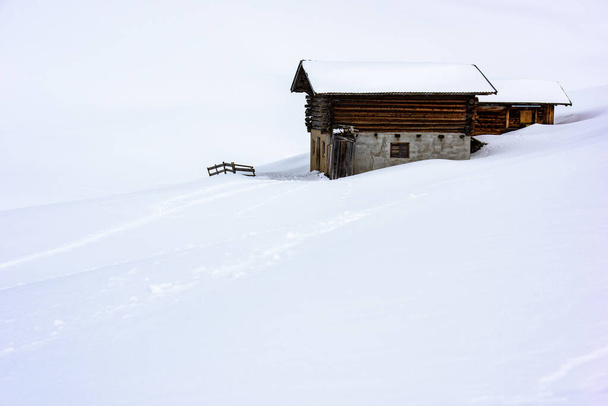 luonnonkaunis laukaus lumen peitossa Alpe di Siusi, Seiser Alm, Dolomites, Italia - Valokuva, kuva