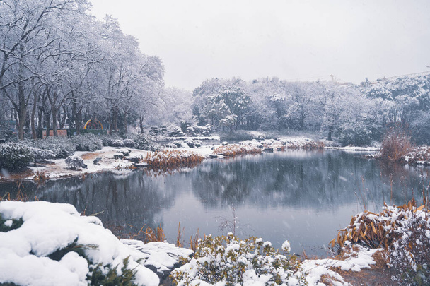 Moshan Sahne Bölgesi, Doğu Gölü, Wuhan, Hubei 'de kış kar manzarası - Fotoğraf, Görsel