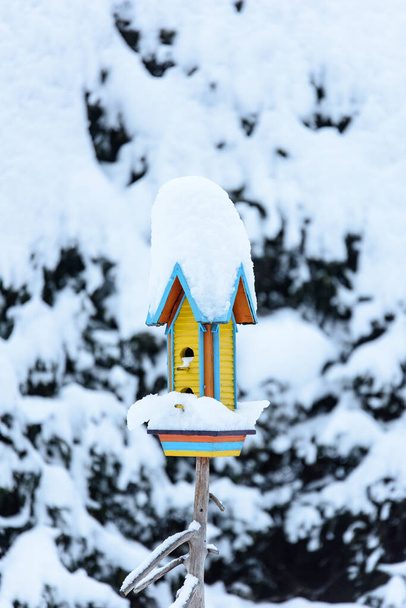 зимний пейзаж виллы Ottone с заснеженным скворечником - Фото, изображение