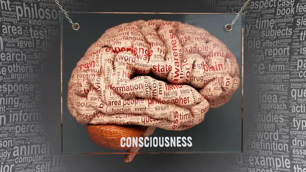 Анатомия сознания - ее причины и последствия, проецируемые на человеческий мозг, раскрывающие сложность Сознания и связь с человеческим разумом. Концепт-арт, 3d иллюстрация - Фото, изображение