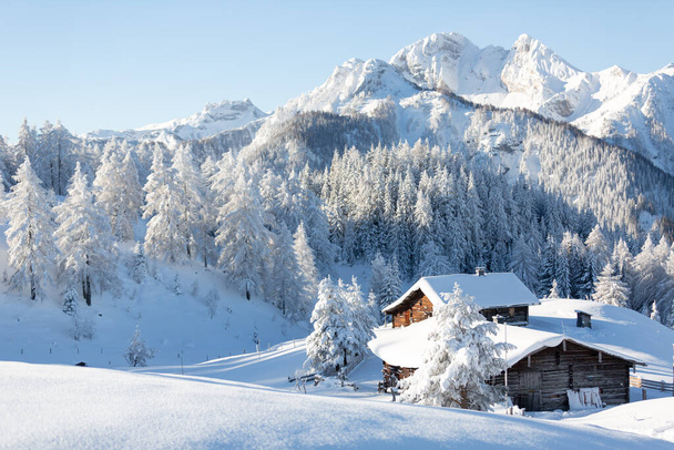 Belo cenário de inverno. Campo austríaco com uma cabana de madeira coberta de neve - Foto, Imagem