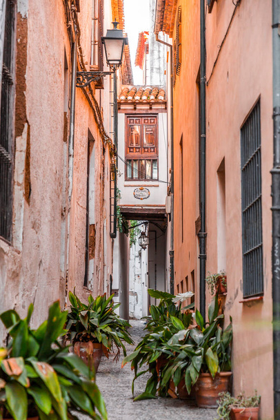 Granada, Spain - February 22, 2022: Generic architecture and street view in the historical city of Granada in the Autonomous Region of Andalusia, Spain. - Photo, image