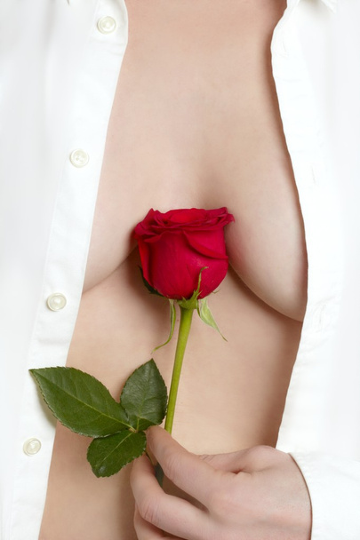 Beautiful woman body holding red rose - 写真・画像