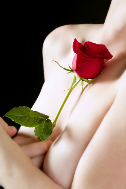 Beautiful woman body holding red rose - 写真・画像