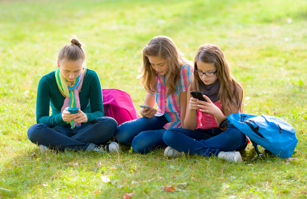 Teen girls on grass, using their mobile phones - Fotoğraf, Görsel