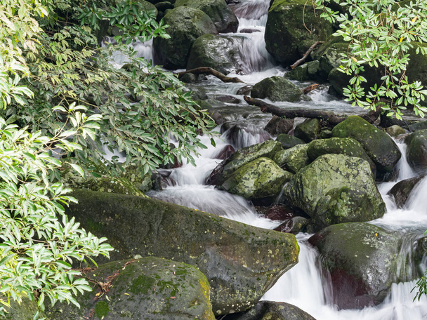 Eau douce dans un ruisseau qui descend au ralenti au-dessus des rochers - Photo, image