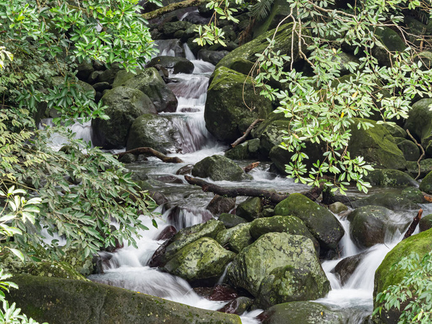 Свежая вода в ручье находит путь вниз по скалам в замедленной съемке - Фото, изображение